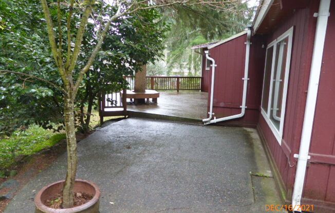 Beautiful 3 Bed 1 Bath Single Family House - Bellevue