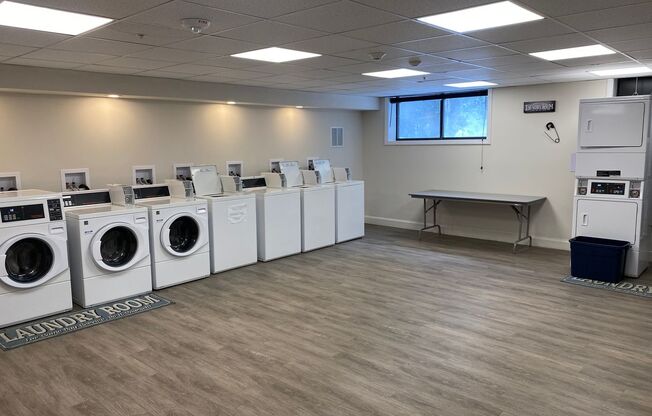 1 bed, 1 bath, 545 sqft, $1,900, Unit 208