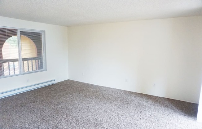 an empty room with carpet and a window