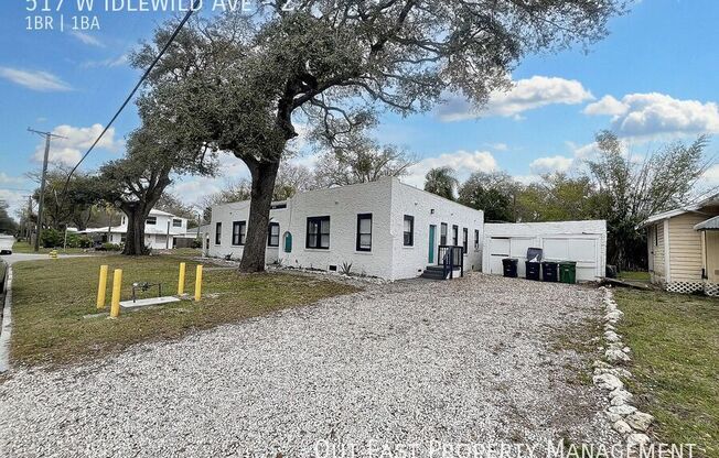 517 W IDLEWILD AVE