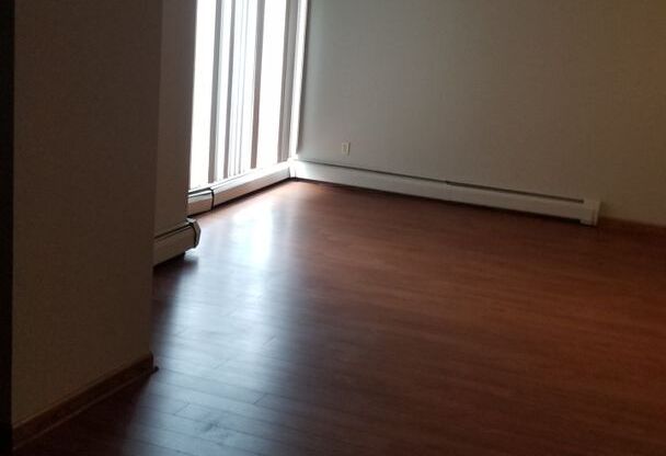 Studio, 1 bath, 400 sqft, $869, Unit 311