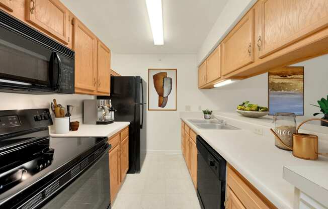 Fully Equipped Kitchen with Black Appliances at Waterfront Apartments, VA 23453