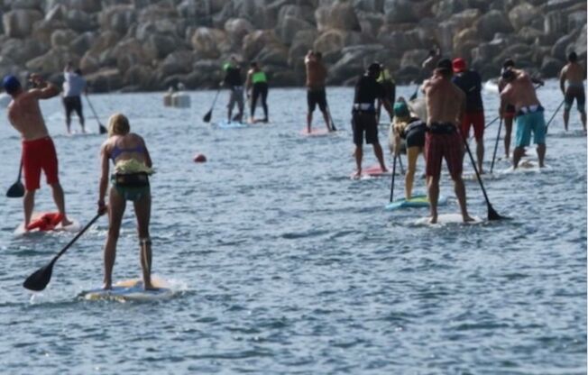 1 bed, 1 bath, 500 sqft, $2,295, Unit 008