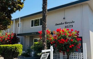 25173 Amador Royale Apartments
