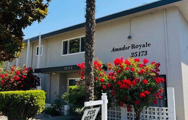 25173 Amador Royale Apartments