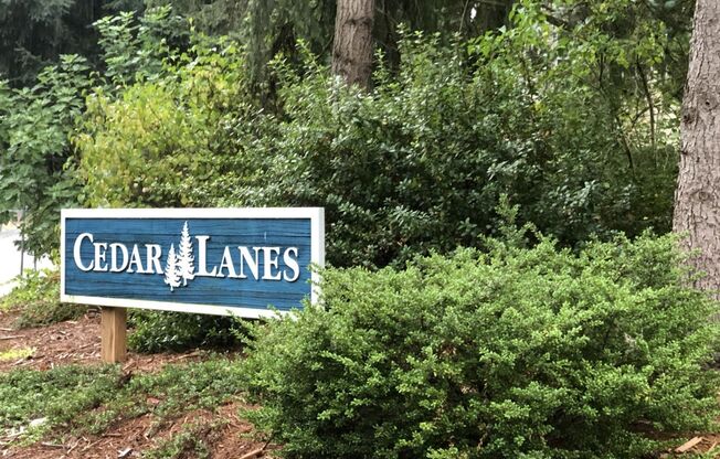 Spacious 4BR 2.75BA Tri-level home in quiet Cedar Lane Estates