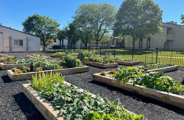 Community Gardens are available!