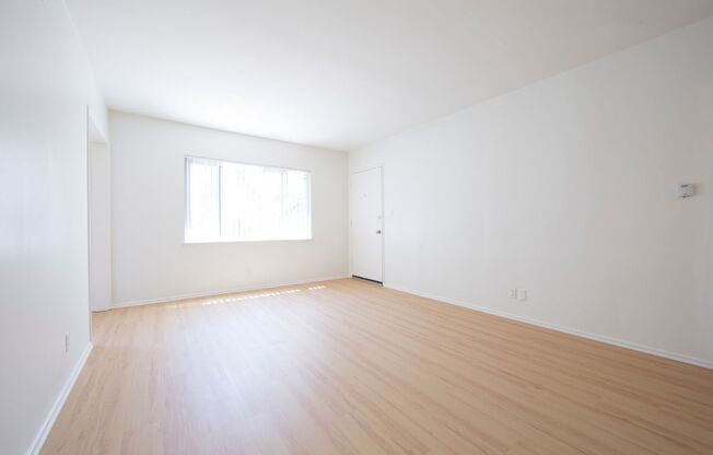 1 bed, 1 bath, 596 sqft, $2,365, Unit 3
