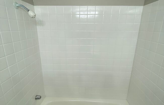 Studio, 1 bath, $599, Unit #245
