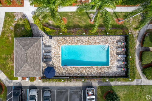 Aerial View of the swimming pool at Pineview Apartments, in Clearwater, FL 33755