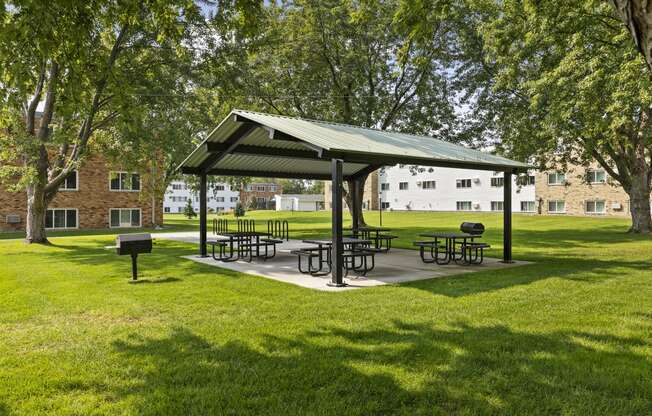 Silver Lake Apartments in New Brighton, MN Picnic Area