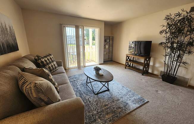A living room with a couch, a coffee table, and a television.