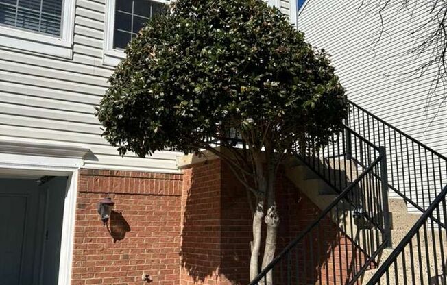 Elegant And Spacious 3 Bed 3.5 Bath Townhome In Vibrant Loudon Parkway Center