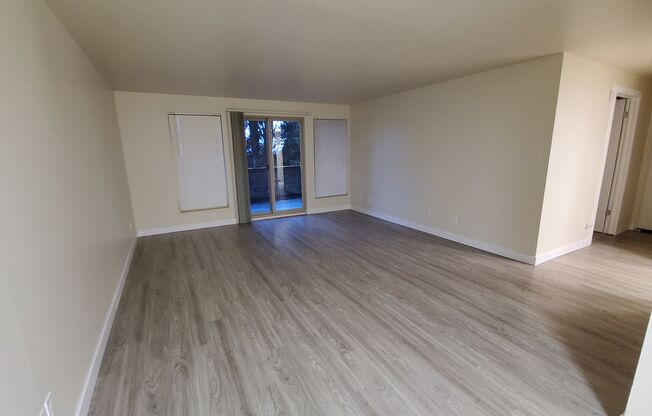 1 bed, 1 bath, 803 sqft, $1,595