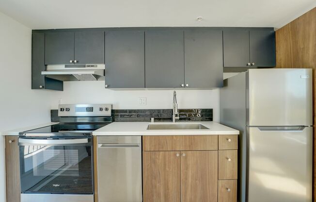 Studio, 1 bath, 530 sqft, $2,495, Unit 205