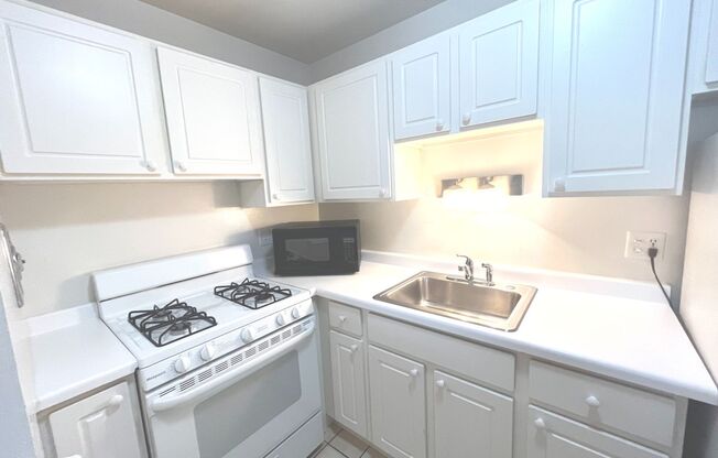 1 bed, 1 bath, $1,195, Unit 111