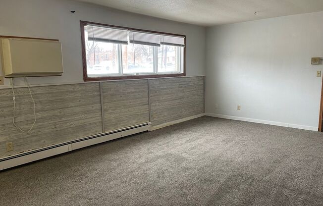 1 bed, 1 bath, 465 sqft, $595, Unit 1119-102