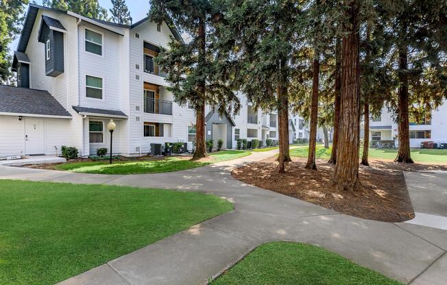 a tree in front of a house