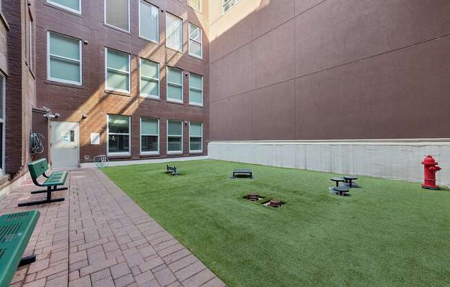 Dog park on property with grass area