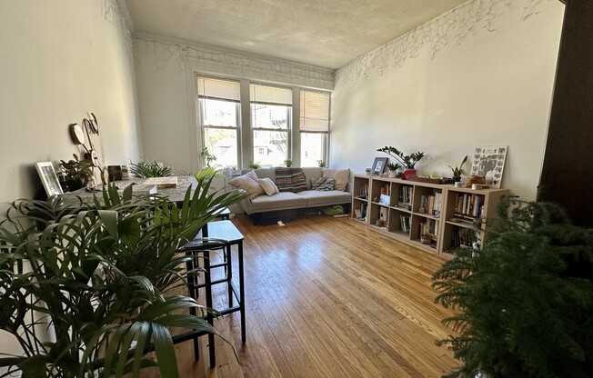 153 Strathmore Rd Apt 1