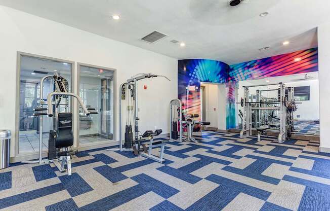 A gym with a variety of equipment including a treadmill, weights, and a bench press.