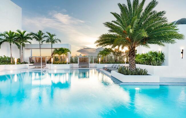 Sunset reflections and tropical palms make Modera Riverside’s rooftop pool an elegant Miami destination.