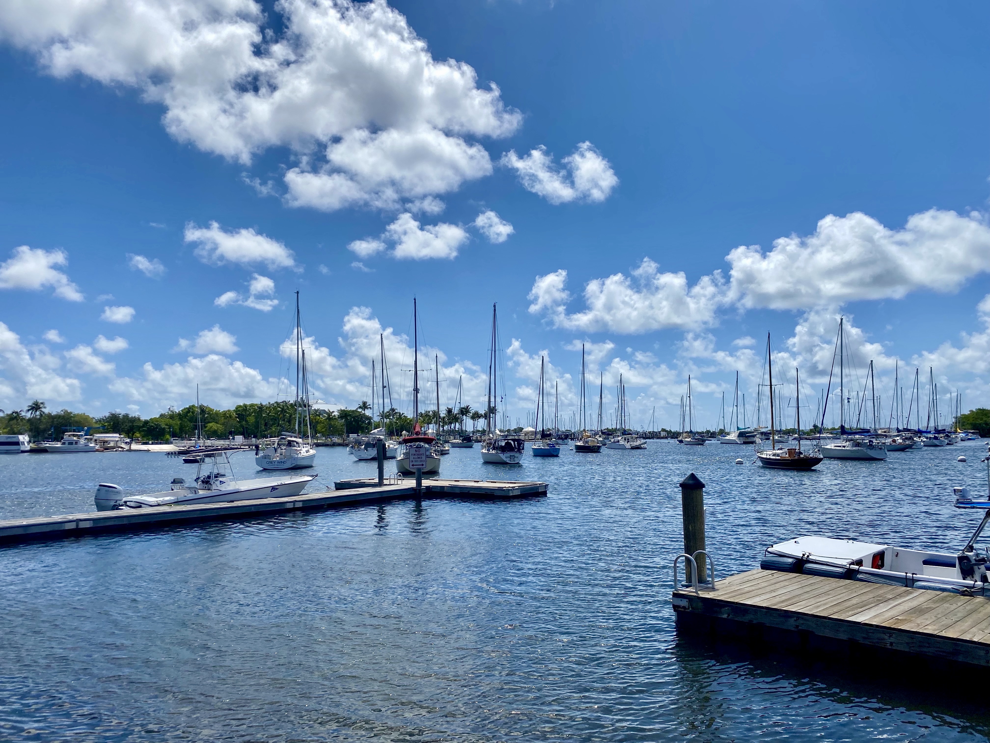 Coconut Grove Biscayne Bay View