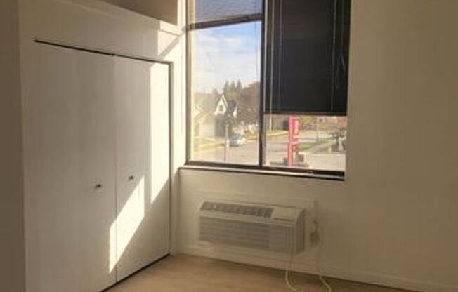 Studio, 1 bath, 173 sqft, $1,050, Unit 208