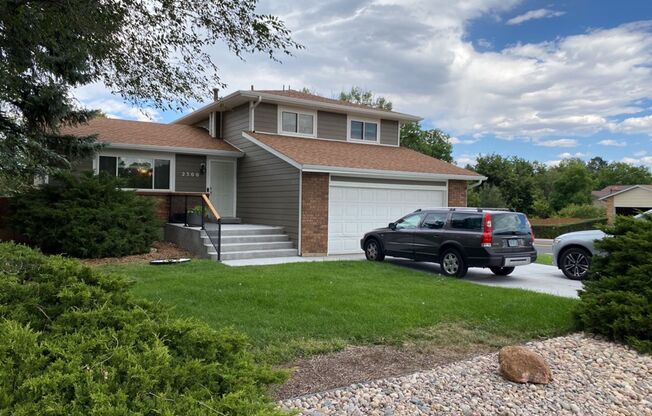 Tri-Level Home w/ Basement, Fenced Yard and New Carpet!