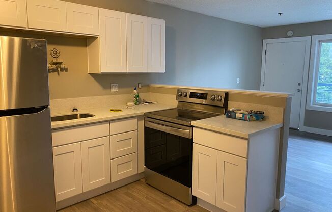 1 bed, 1 bath, 519 sqft, $1,295, Unit 44