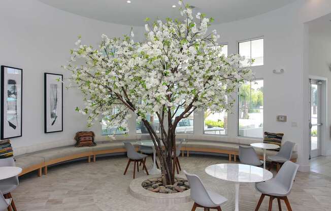 Clubhouse with lounge area