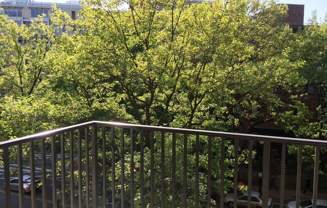 Studio, 1 bath, 460 sqft, $2,800, Unit 0524