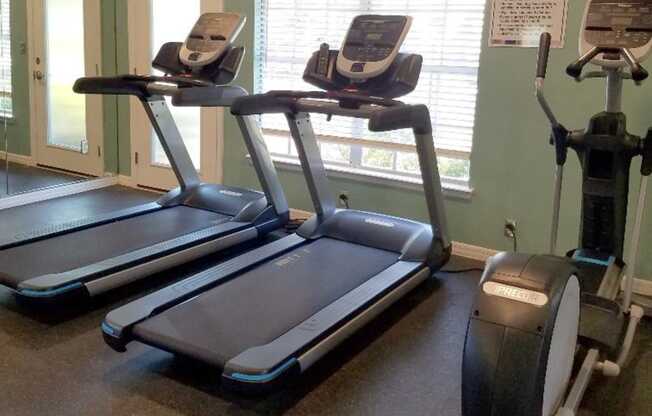 a row of treadmills in a gym with a window