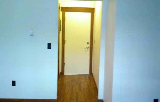 Studio, 1 bath, 359 sqft, $1,325, Unit 301