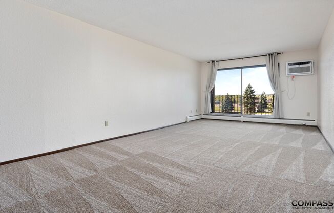 1 bed, 1 bath, 709 sqft, $1,045, Unit 2214-319