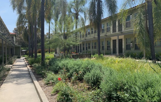 Courtyard landscaping