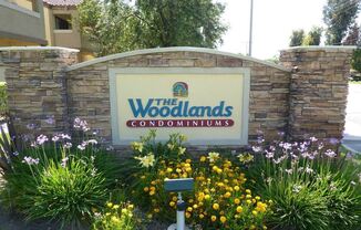 1142 W Blaine St # 202