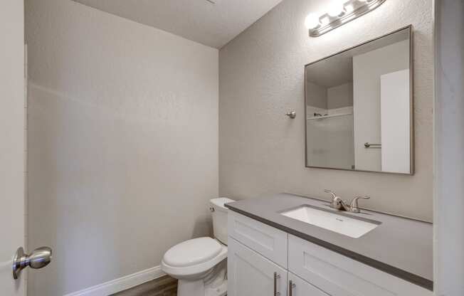 a bathroom with a sink toilet and mirror