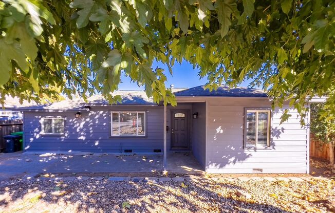 Charming Three Bedroom Westwood Napa Home