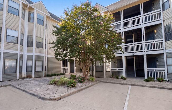 1 bed, 1 bath, 670 sqft, $1,250