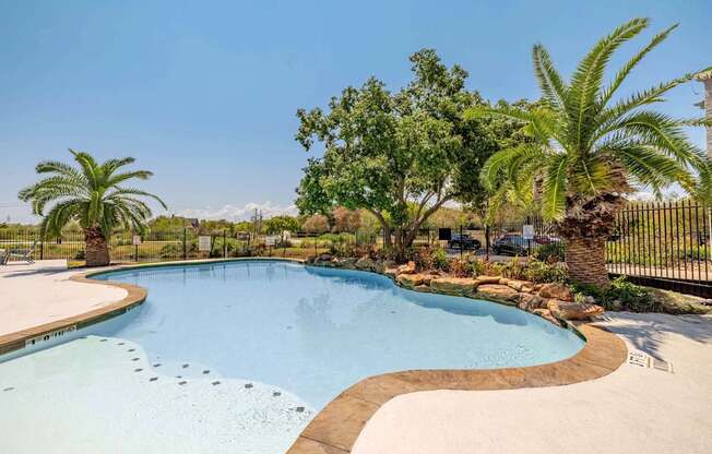 A large outdoor swimming pool surrounded by palm trees and a fence.