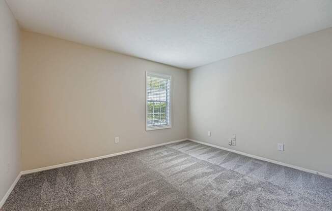 A room with a carpeted floor and a window.