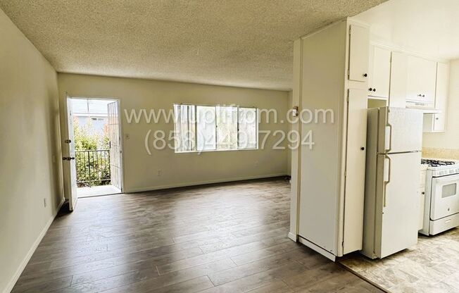 Calla Ave (1041)