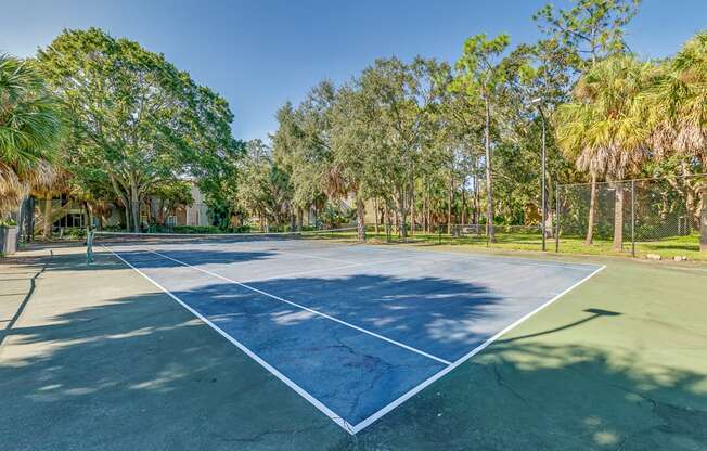 a tennis court with trees in the background on a sunny day