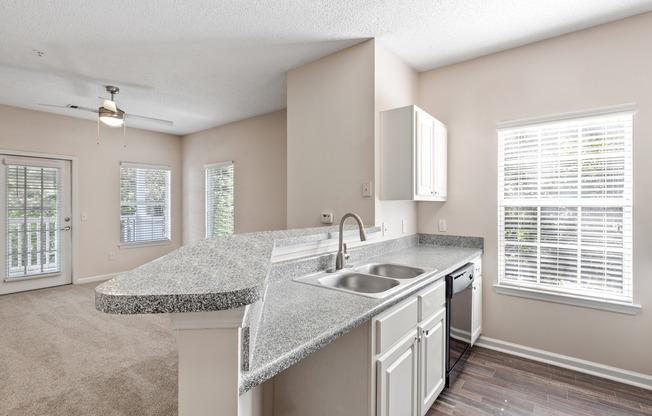 Summer Park Kitchen and Living Room