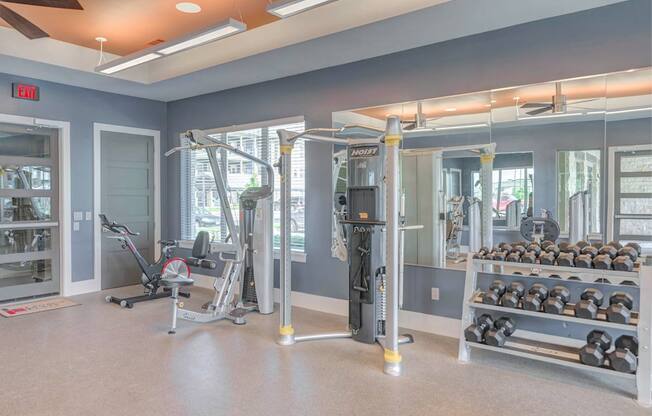 A gym with a variety of equipment including a treadmill, weights, and a squat rack.