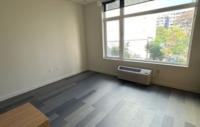 Studio, 1 bath, 432 sqft, $1,325, Unit 308