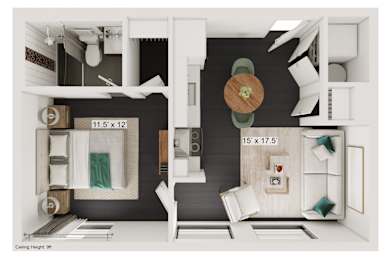 1 bed, 1 bath, 469 sqft, $1,355