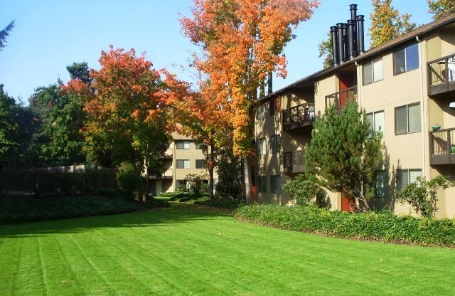 1 bed, 1 bath, 700 sqft, $1,425, Unit 0224