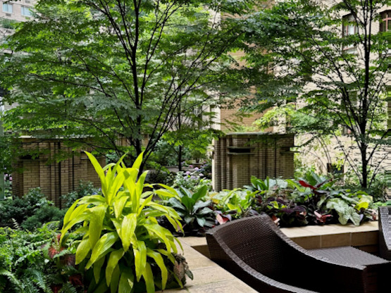 1 bed, 1 bath, 750 sqft, $5,000, Unit 4H